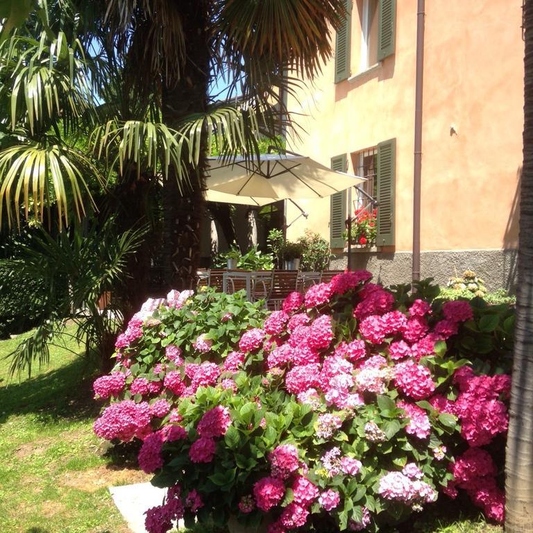 Antico Glicine B&B Maslianico Bagian luar foto