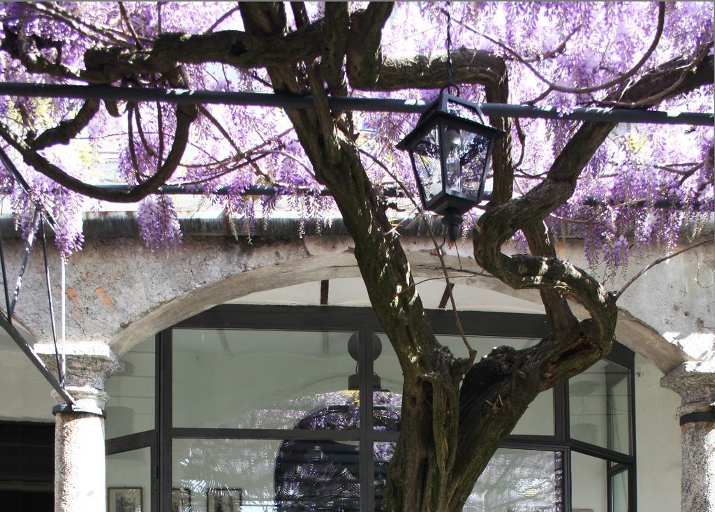 Antico Glicine B&B Maslianico Bagian luar foto