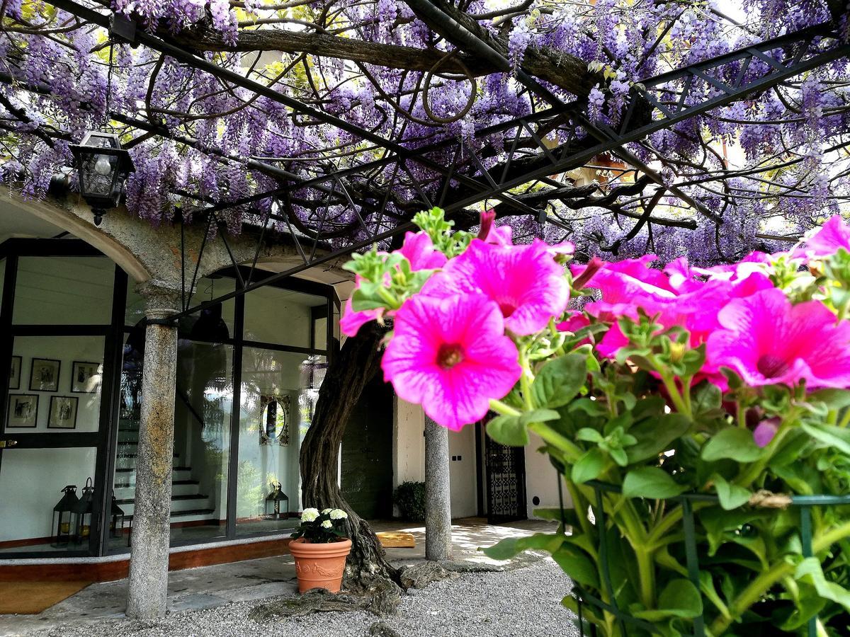 Antico Glicine B&B Maslianico Bagian luar foto